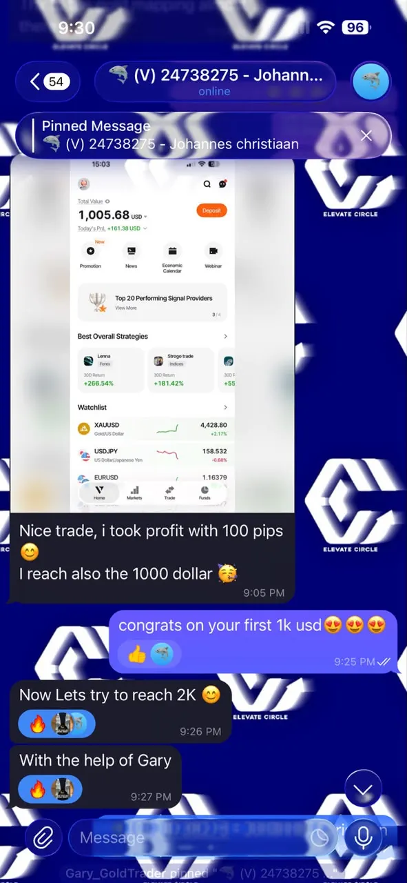 Client message about their own trading experience
